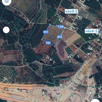 2,9 Hecta Đất Tmdv Mặt Trước Sân Bay Long Thành, 2 Mặt Tiền Giá Đầu Tư Nhất