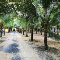 Bán Đất Tại Thị Trấn Dầu Giây, Thống Nhất, Đồng Nai, 870 Triệu, 1044 M2, Chỉ Với View Đẹp