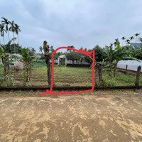 Bán Đất Kdc Hiện Hữu, Gần Kdc Tây Bắc Vạn Tường, Xã Bình Trị, Bình Sơn, Quảng Ngãi. 550 Triệuiệu/123M2