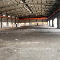 Cho Thuê Kho Xưởng 900M2 Bình Chánh. Đường Xe Container 24H, Ra Vào Thuận Tiện.