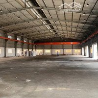Cho Thuê Kho Xưởng 900M2 Bình Chánh. Đường Xe Container 24H, Ra Vào Thuận Tiện.