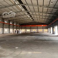Cho Thuê Kho Xưởng 900M2 Bình Chánh. Đường Xe Container 24H, Ra Vào Thuận Tiện.