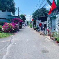 Dt: 8X17,5 Giá Đầu Tư: 1 Tỷ 750 Triệu, Bán Gấp Đất Dân Mới Tách Sổ, Xã Tân Hưng, Thành Phố Bà Rịa