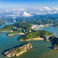 Phố Thị Sầm Uất - Hòa Nhịp Thiên Nhiên Di Sản