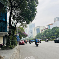 Siêu Hot Mặt Phố Trần Duy Hưng 130M2, 6 Tầng, Mặt Tiền 5M, Kinh Doanh Đắc Địa, Thương Lượng