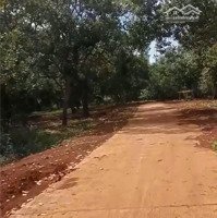 Bán Đất Xã Long Bình Phú Riềng