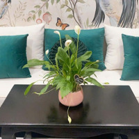 Bán Căn 87M2 ( 30M2 Sân Vườn ) Nội Thất Cao Cấp 500 Triệu View Hồ Hơi 50M Tháp C4 Quận 12