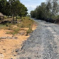 Bán Đất Đường Duyên Hải, 15 Tỷ Vnd, 1099M2 Tại Cần Giờ, Hồ Chí Minh