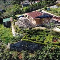 1156M2 Có Sẵn 272M2 Thổ Cư, Có Sẵn Homestay, Sân Vườn, View Săn Mây. Giá Bán 12 Tỷ Tl