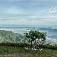 1156M2 Có Sẵn 272M2 Thổ Cư, Có Sẵn Homestay, Sân Vườn, View Săn Mây. Giá Bán 12 Tỷ Tl