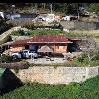 1156M2 Có Sẵn 272M2 Thổ Cư, Có Sẵn Homestay, Sân Vườn, View Săn Mây. Giá Bán 12 Tỷ Tl