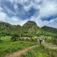 Bán Đất Và Nhà Kinh Doanh Homestay.diện Tích3000M2 Đang Quy Hoạch Đón Khách Du Lịch.