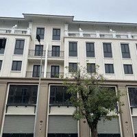 Mua Là Thắng - Shophouse Trung Tâm Dự Án Oceanpark3