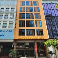 Bán Gấp Khách Sạn Vip Phạm Ngũ Lão - Quận 1 (8X15M; Xd 6 Tầng Tm) - Tn 160 Triệu/Tháng - Bán Gấp 32 Tỷ