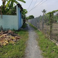 Bán Rẻ Đất Bình Chánh 203M2 Full Thổ Cư Xã Tân Quý Tây