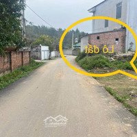 ___192M2 Lưu Quang - Minh Quang - Tam Đảo - Vĩnh Phúc
- Ô Này Chủ Để Lâu Mấy Năm Bỏ Quên. Giá Quá