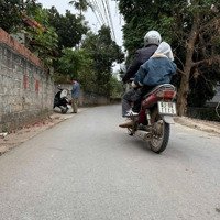 Chính Chủ Cần Bán Lô Đất Tam Lộng, Hương Sơn, Bình Xuyên, Vĩnh Phúc Dt; 100M2. Tc : 50M2 Trục L