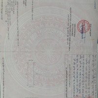 Ô Đất Quá Đẹp Khu Phân Lô 304- Ngoại Trạch - Tam Hợp - Bình Xuyên - Vĩnh Phúc Lô Cạnh Góc - Diện