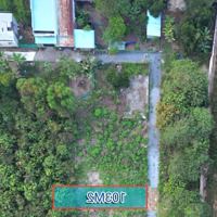 Chỉ 1 Tỷ 150 Sở Hữu Ngay Lô Đất 100M Thổ Cư, Cách Quận 2 Chỉ 10 Phút!
