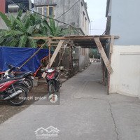 Bán Lô Đất 65M2 Chỉ Sau 1 Nhà Mặt Đường 203 Phường Hoa Động , Tp Thủy Nguyên.
