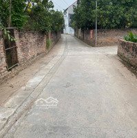 Hàng Fo Full Thổ Cư Ở Tráng Việt Mê Linh Hn, Diện Tích: 100M ,Mt 5,05M Nở Hậu,Đường To Thông Thoáng