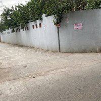 Hàng Fo Full Thổ Cư Ở Tráng Việt Mê Linh Hn, Diện Tích: 100M ,Mt 5,05M Nở Hậu,Đường To Thông Thoáng