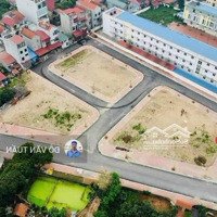 Bán Đất Đấu Giá Sau Chợ Đông Tảo 2 Mặt Tiền Đường Rộng 15M Giá Đầu Tư