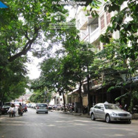 Mặt Bằng Kinh Doanh Hòa Mã - Hai Bà Trưng Nhận Diện Thương Hiệu:diện Tích90M2X3 Tầng, 2 Mặt Tiền 22M