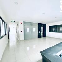 Cho Thuê Toà Nhà: 102-102A Nguyễn Văn Đậu - Quận Bình Thạnh
