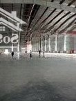 Kho Xưởng Kcn Quang Minh. 1000M2 Đến 20.000M2, Pccc Tự Động, Fdi/Epe, Dock Cont, 90 Nghìn/Th/M2