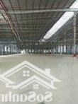 Kho Xưởng Kcn Quang Minh. 1000M2 Đến 20.000M2, Pccc Tự Động, Fdi/Epe, Dock Cont, 90 Nghìn/Th/M2