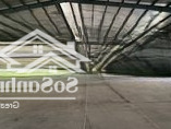 Kho Xưởng Kcn Nguyên Khê, 500 Đến 5000M2, Pccc Tự Động, Cao 14M, Dock Cont, Mới 100%, 90Nghìn/M2/Th