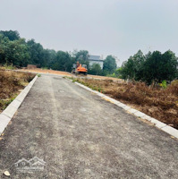 Bán Nhanh Đất Hoà Lạc Vuông Vắn Giá Chỉ Nhỉnh 1 Tỷ