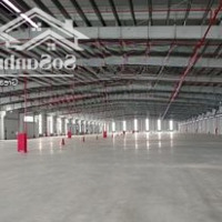 Kho Xưởng Ccn Nguyên Khê, 1000M2 Đến 20.000M2, Pccc, Cao 12M, Cont Vào, Tba 10.000Kva, 50Ngh/Th/M2