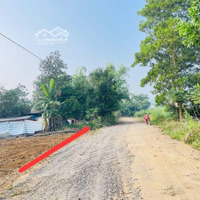 Đất Cực Rẻ Cực Đẹp Tại Yên Thuỷ Hoà Bình, Giá Chỉ 220 Triệu Được Luôn 289M2 Đất