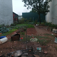 Cho Thuê Kho, Nhà Xưởng 200M2 Tại Sn5, Ngõ 1, Lý Thường Kiệt, Đồng Tâm, Vĩnh Yên, Vĩnh Phúc, 12 Tr