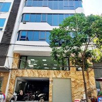 Mặt Phố Phạm Thận Duật - Cầu Giấy 110M X 8 Tầng, Mặt Tiền 9.5M, Giá Bán 51.5 Tỷ
