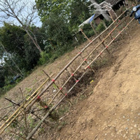Cần Thanh Khoản Nhanh Chỉ 190 Triệu /1 Lô Đất Bám Mặt Đường 5M Tại Đa Phúc Yên Thuỷ Hoà Bình