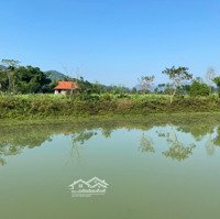 Bán Đất Bám Hồ Giá Rẻ Hoà Bình