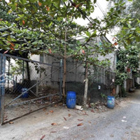 Đất Gần Bigc Go Phường Đông Hòa Tp Dĩ An Đất 1Tỷ7 115M2 (5X23M Thổ Cư 100M2 Sổ Hồng Riêng