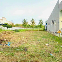 Kẹt Tiền Bán Nhanh Nền 100M2/ 185 Triệu, Sau Lưng Trường Tiểu Học Tân Trung. Cách Chợ Tân Trung 1Km