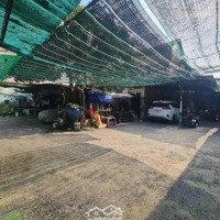 Quỹ Đất Lớn Sót Lại 1005M2 Full Thổ Cư, Đường 19, Hiệp Bình Chánh, 90 Tỷcó Thương Lượngmạnh