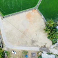 Bán Đất Phường Ninh Hà - Tx Ninh Hòa Full Thổ Cư Giá Rẽ Đầu Tư
