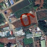 Bán Đất Ở Tại Khu Đô Thị Của Huyện Đức Trọng