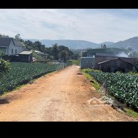 Bán Đất Ở Tại Khu Đô Thị Của Huyện Đức Trọng