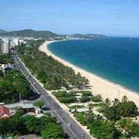 Đất An Cư 6Diện Tích90M2 Gần Biển Gần Công Viên Sơn Trà Đẹp Rẻ