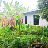Siêu Phẩm Có 102Diện Tích1091M2/240M2 Thổ Cư Tại Thắng Đầu Hoà Thạch Quốc Oai Hà Nội