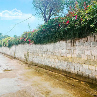 Siêu Phẩm Có 102Diện Tích1091M2/240M2 Thổ Cư Tại Thắng Đầu Hoà Thạch Quốc Oai Hà Nội
