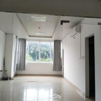 Cho Thuê Văn Phòng Trong Tòa Building 56 Nguyễn Tri Phương, 50M2/ 4 Triệu, 6 Triệu/Th
