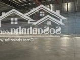 Mới Dựng! Kho Xưởng Kcn Thạch Thất, 1000M2, 10.000M2, Pccc Tự Động, Dock Cont, 70Nghìn/M2/Th